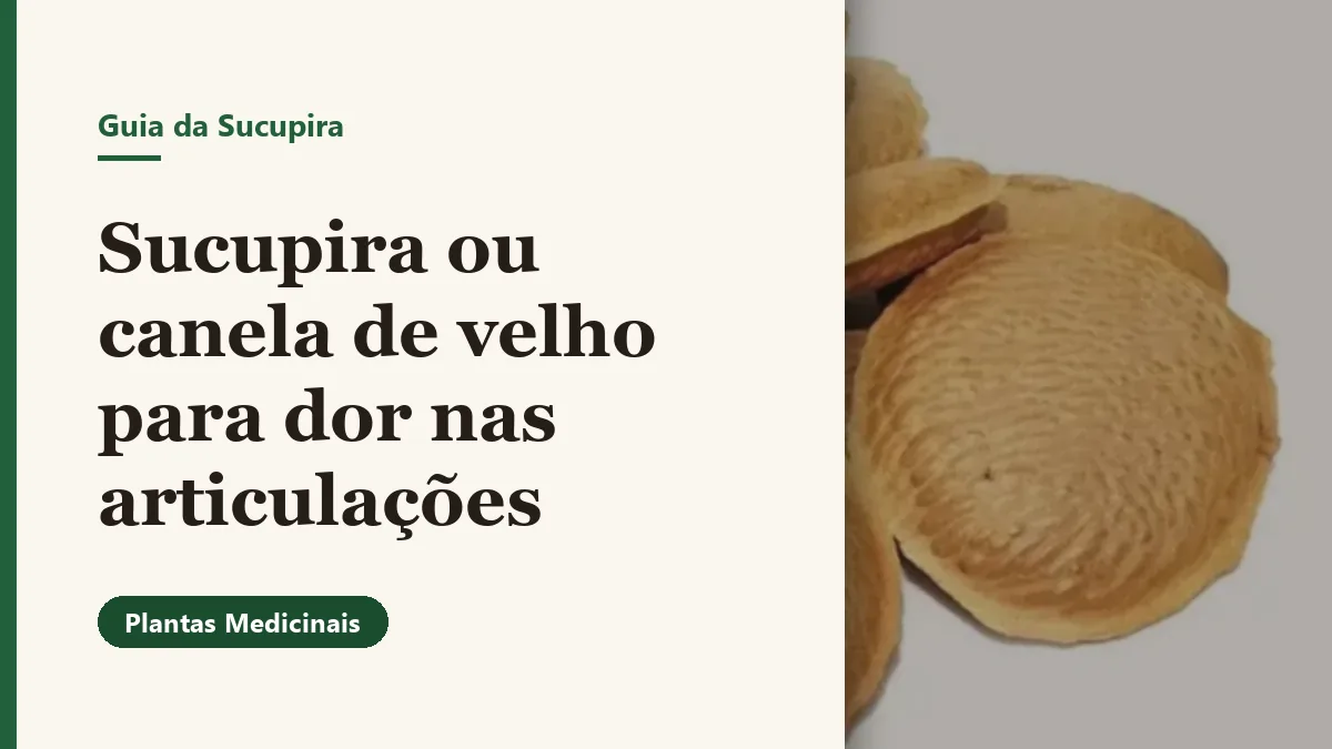 Foto relacionada ao artigo: Sucupira ou Canela de Velho: Qual é Melhor Para Dor nas Articulações?